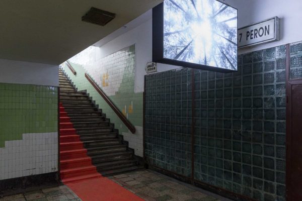 web-copyright_laurianghinitoiu_viceversa_linia_s_08 web-copyright_laurianghinitoiu_viceversa_linia_s_08