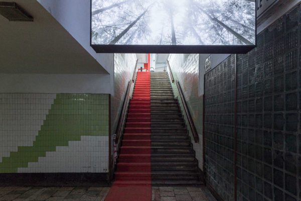 web-copyright_laurianghinitoiu_viceversa_linia_s_09 web-copyright_laurianghinitoiu_viceversa_linia_s_09